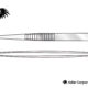 Dissecting Forceps