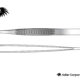 Bonney Dissecting Forceps