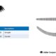 Cushing Artery Forceps