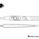 Jean Dissecting Forceps