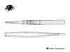 Treves Dissecting Forceps