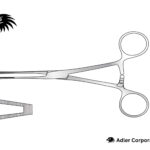 Russian Dissecting Forceps