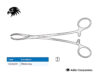 Littlewood Tissue Forceps