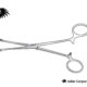 Babcock Tissue Forceps
