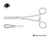 Rampley Sponge Holding Forceps