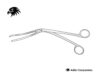 Robins Anchoring Forceps