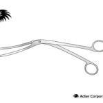 Harrison Bowl Sterilizer Forceps