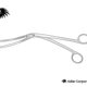 Cheatle Sterilizer Forceps